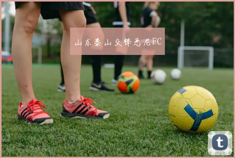 山东泰山交锋悉尼FC