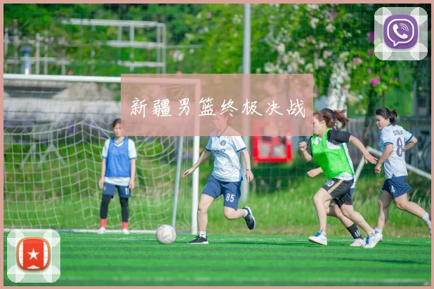 新疆男篮终极决战