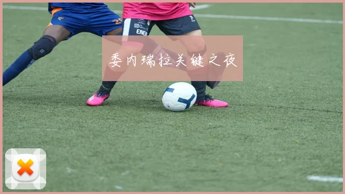 委内瑞拉关键之夜