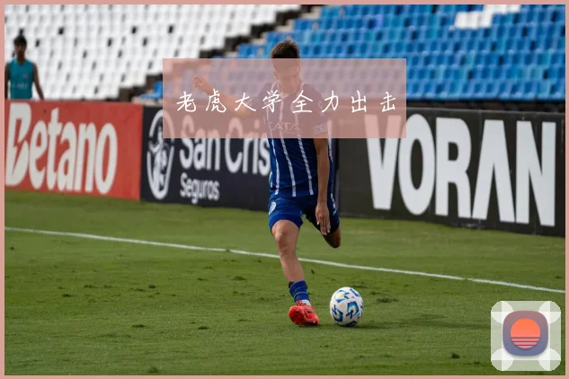 老虎大学全力出击